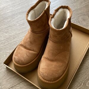 Steve Madden - Crue Chestnut